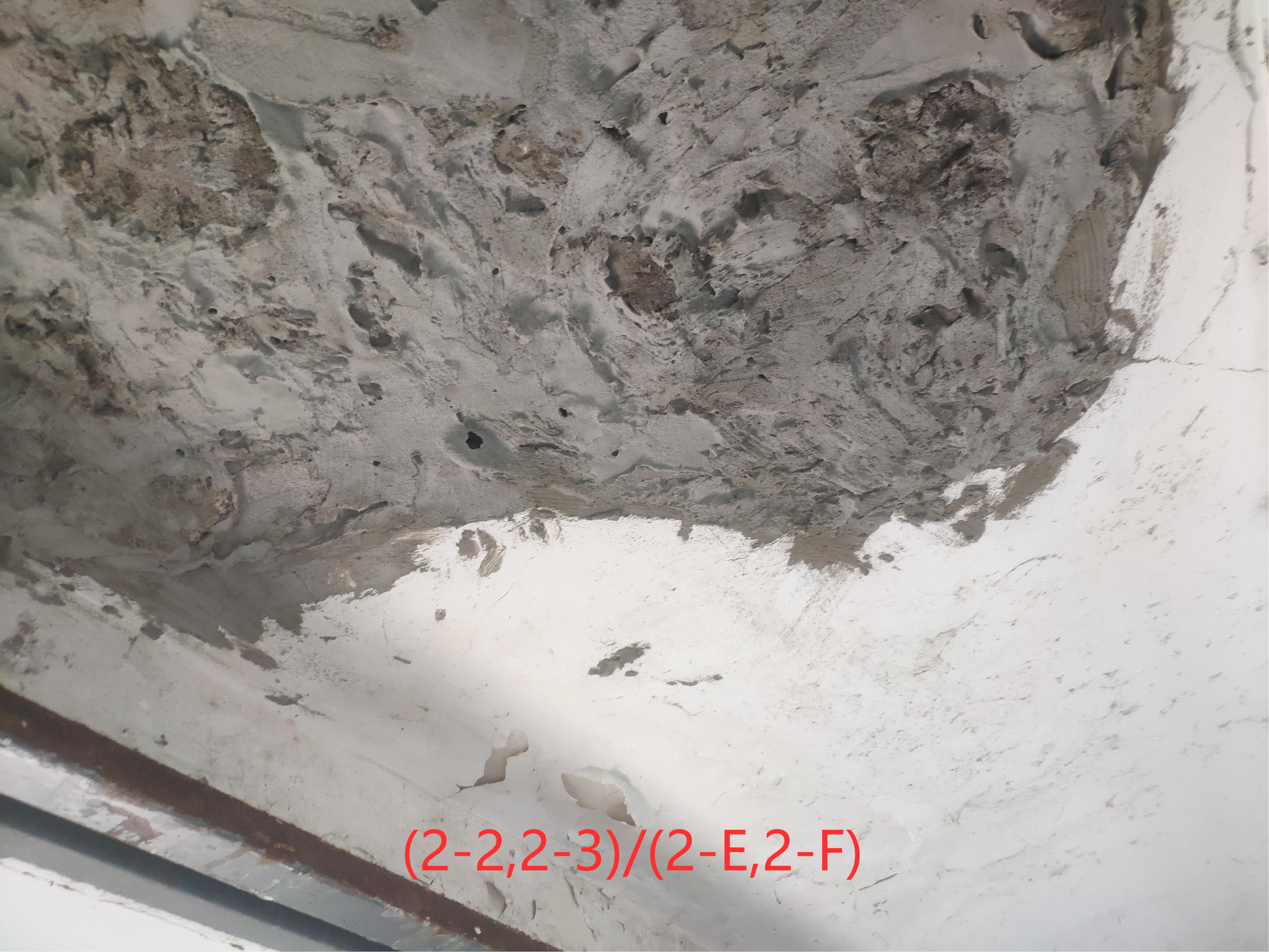 ���ַ��ݙz�y�������Щ